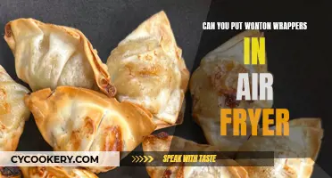 Air Fryer Wonton Wrappers: Do They Work?