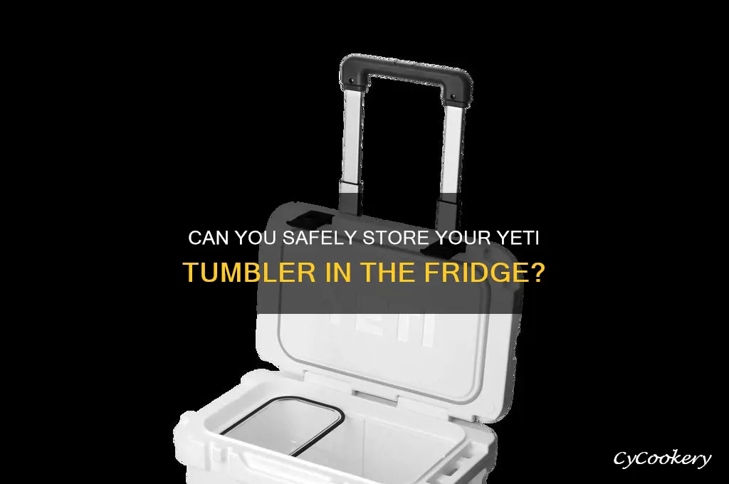 can you put your yeti in the refrigerator