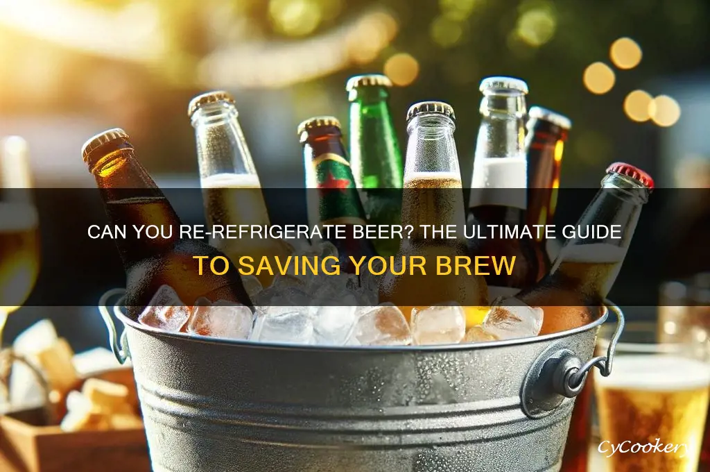 can you re refrigerate beer