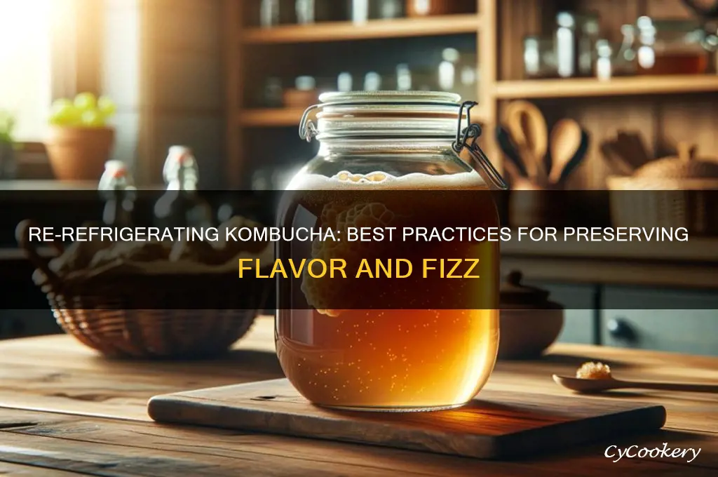 can you re refrigerate kombucha