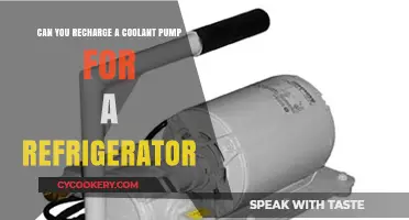 Recharging a Refrigerator Coolant Pump: Is It Possible or Necessary?