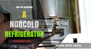 Recharging Your Norcold Refrigerator: A Step-by-Step Guide to Success