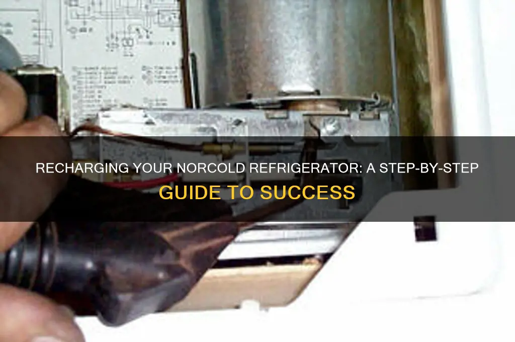 can you recharge a norcold refrigerator