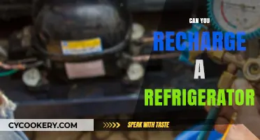 Recharging Your Refrigerator: Is It Possible and How to Do It?