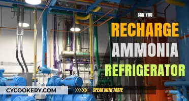 Recharging Ammonia Refrigerators: A Comprehensive Guide to Safe Practices