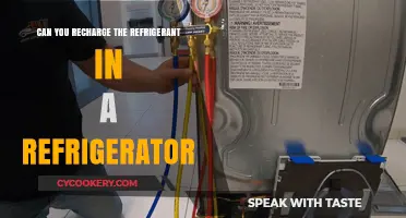 Recharging Refrigerator Refrigerant: A DIY Guide or Professional Task?