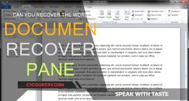 How to Retrieve Word Files with Recovery Pane