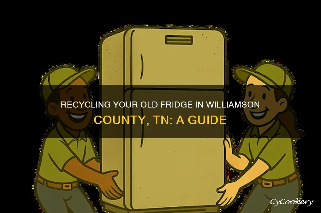 can you recycle a refrigerator in williamson county tn