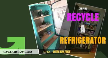 Recycling Your Old Refrigerator: Eco-Friendly Disposal and Reuse Tips