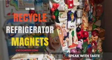 Recycling Refrigerator Magnets: Eco-Friendly Tips for Reusing Old Magnets