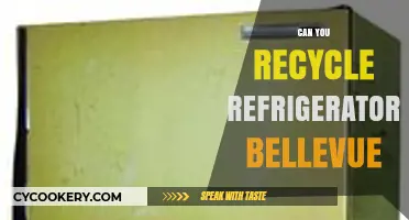 Recycling Refrigerators in Bellevue: Eco-Friendly Disposal Guide for Residents