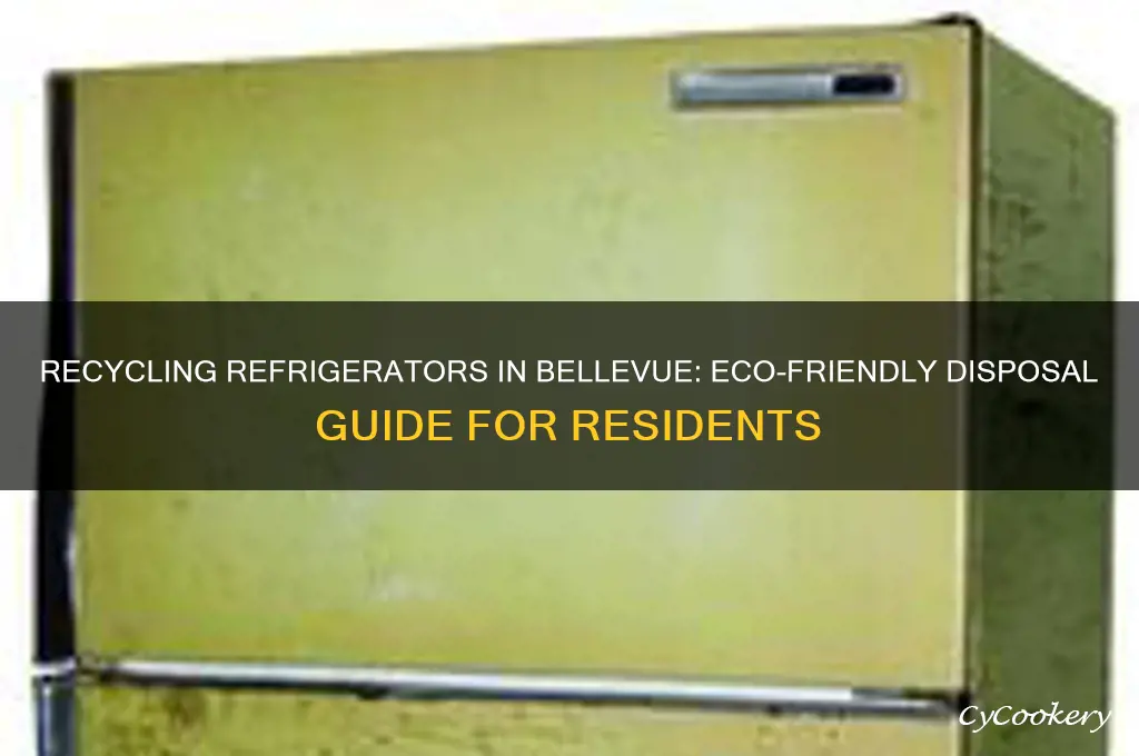 can you recycle refrigerators bellevue
