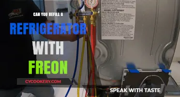Refilling Your Refrigerator with Freon: What You Need to Know