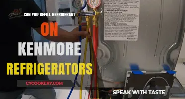 Refilling Refrigerant in Kenmore Fridges: DIY or Professional Service?