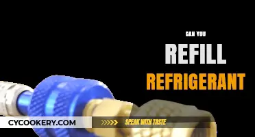Refilling Refrigerant: DIY or Pro? What You Need to Know