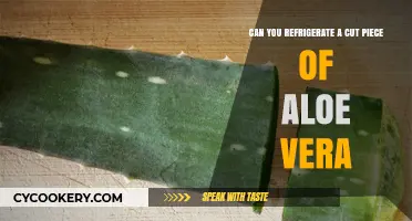 Refrigerating Aloe Vera: Tips for Storing Cut Pieces Safely