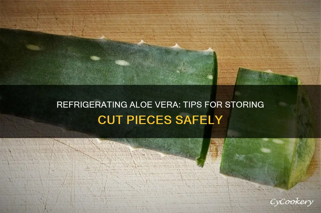 can you refrigerate a cut piece of aloe vera