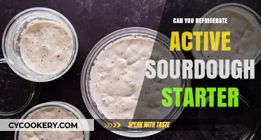 Refrigerating Active Sourdough Starter: Best Practices for Longevity and Care