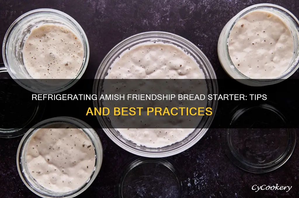 can you refrigerate amish friendship bread starter