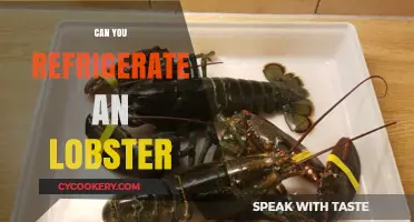 Refrigerating Lobster: Best Practices for Freshness and Safety