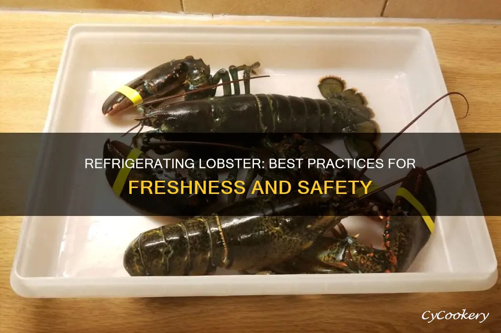 can you refrigerate an lobster