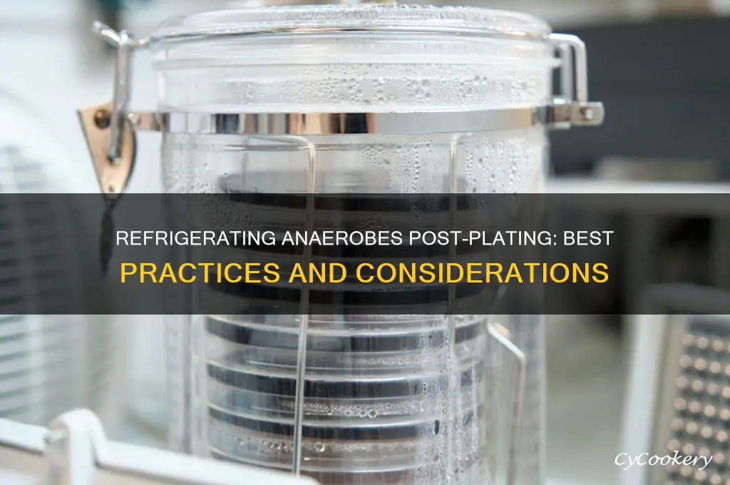can you refrigerate anaerobes after being plated