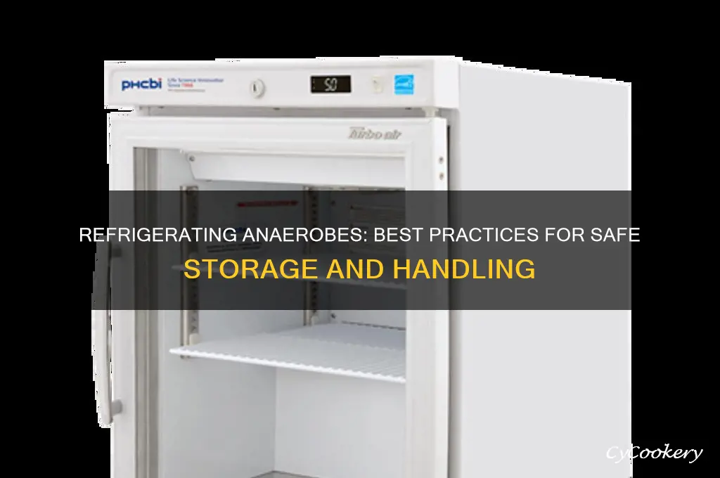 can you refrigerate anaerobes