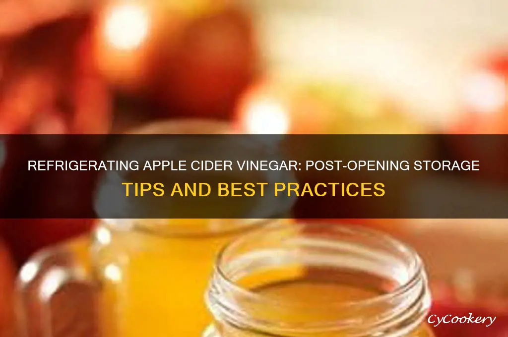 can you refrigerate apple cider vinegar after you open it