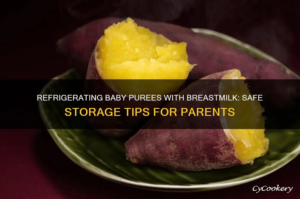 can you refrigerate baby purees made with breastmilk