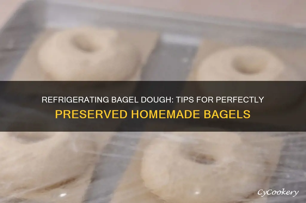 can you refrigerate bagel dough