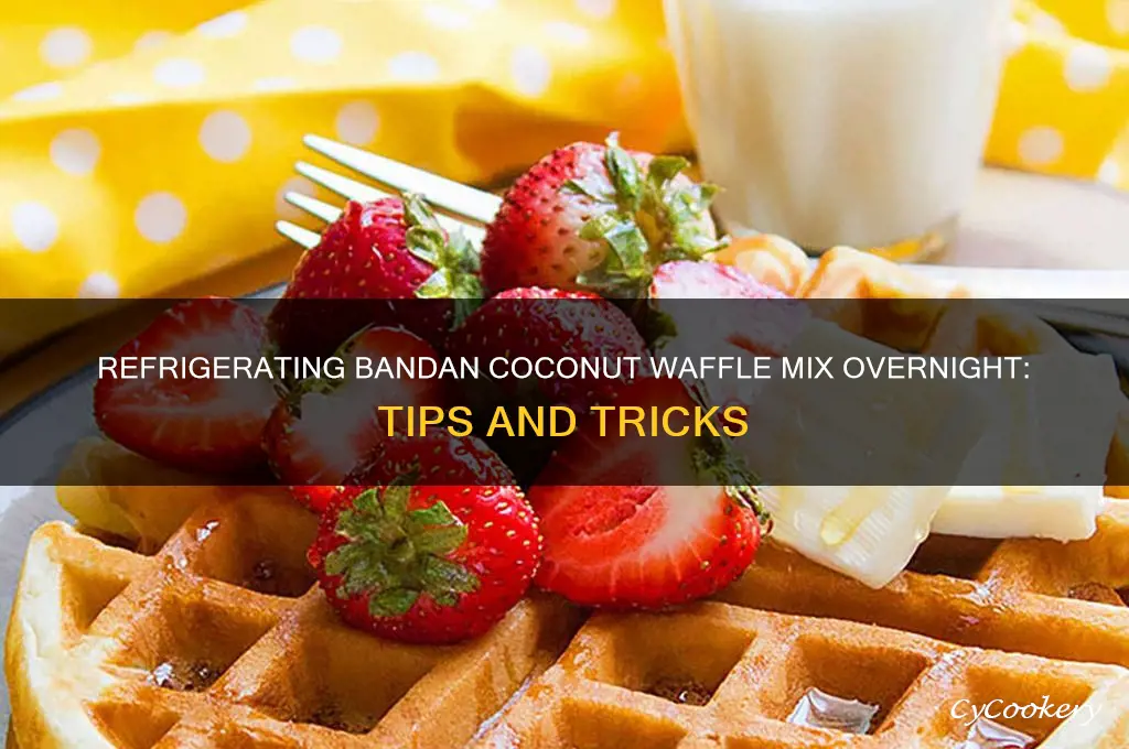 can you refrigerate bandan coconut waffle mix overnight