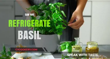 Refrigerating Basil: Best Practices to Keep It Fresh Longer