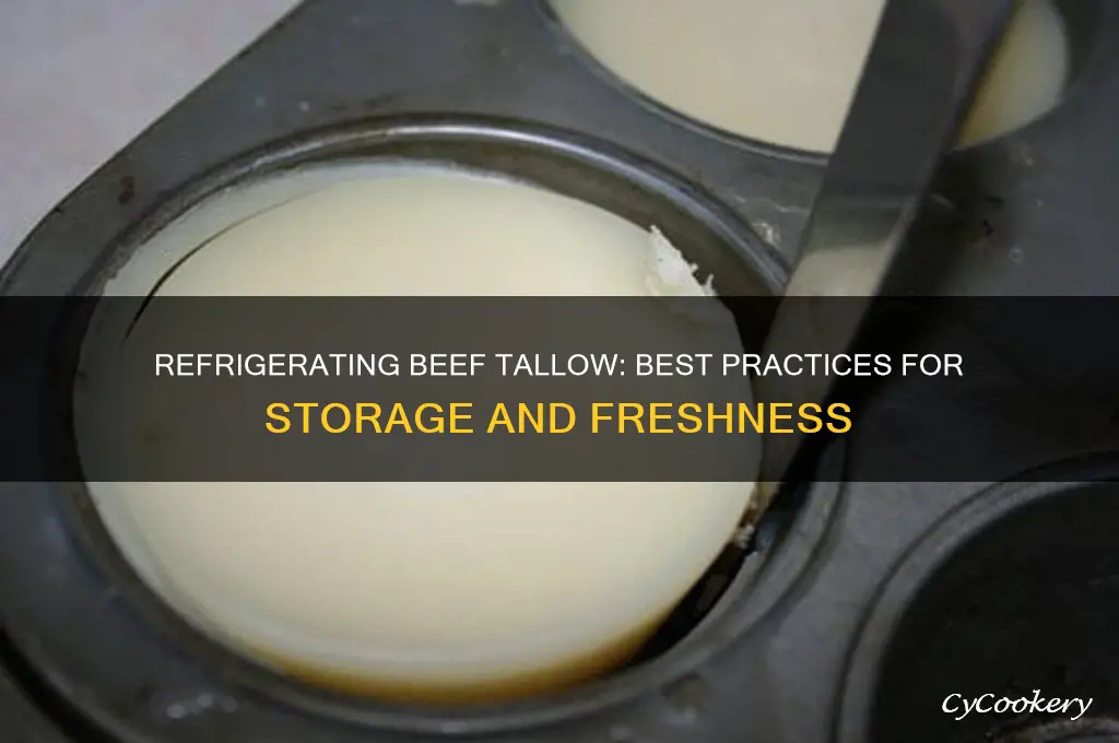 can you refrigerate beef tallow