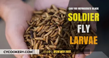Refrigerating Black Soldier Fly Larvae: Best Practices and Tips