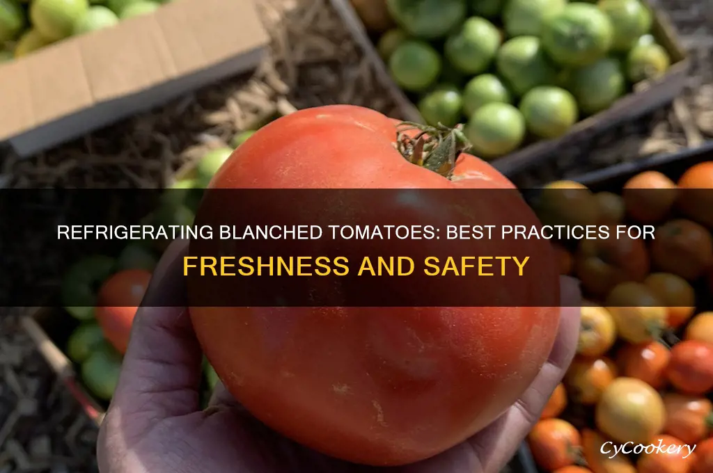 can you refrigerate blanched tomatoes