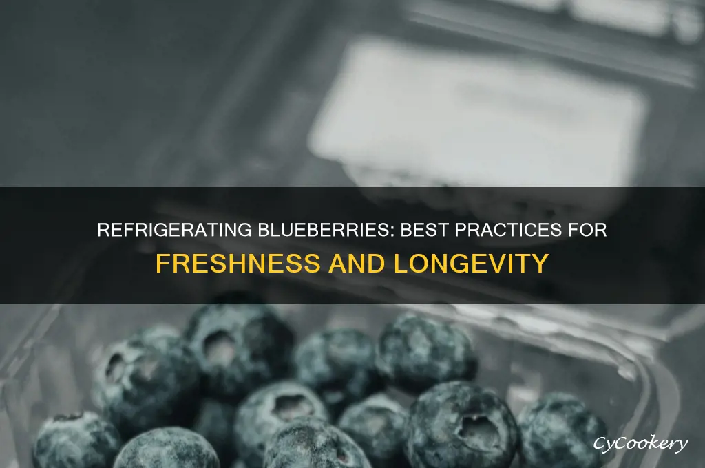 can you refrigerate blueberries