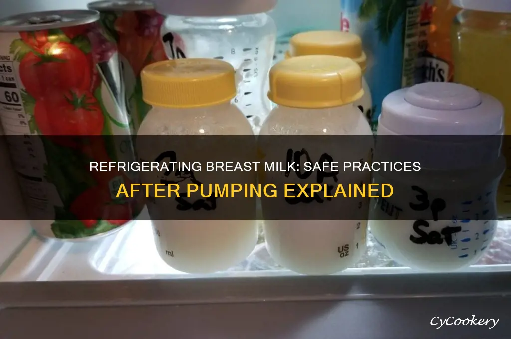 can you refrigerate breast milk after