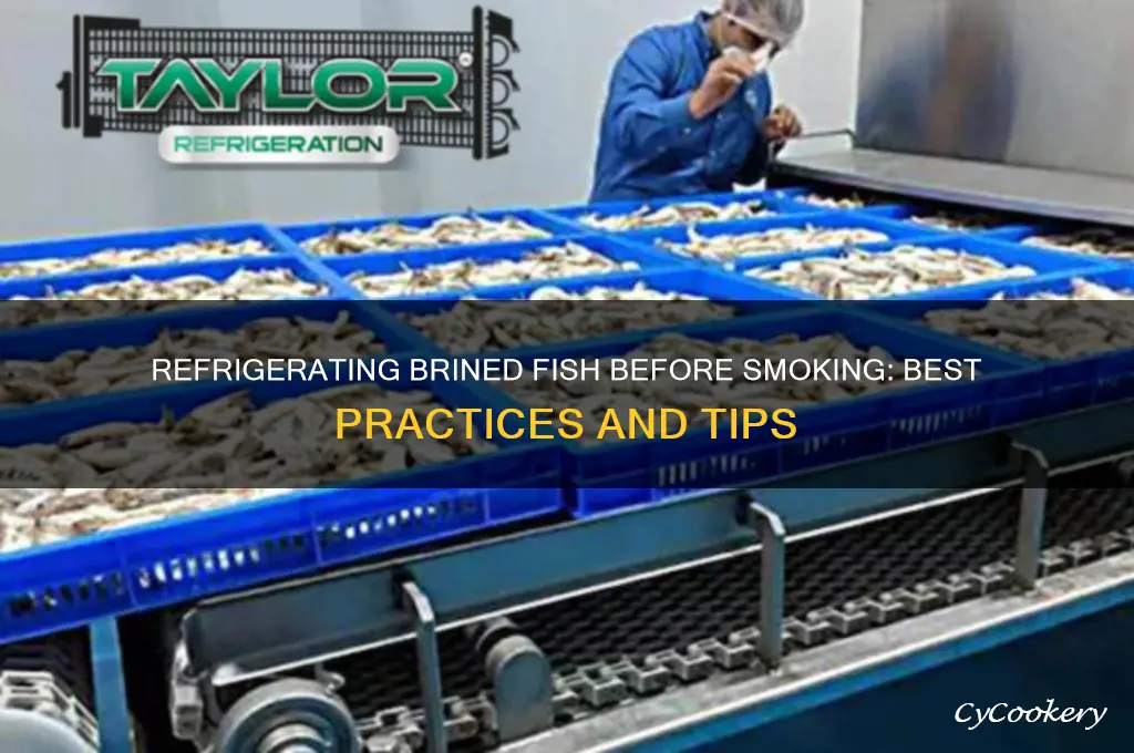 can you refrigerate brined fish before smoking