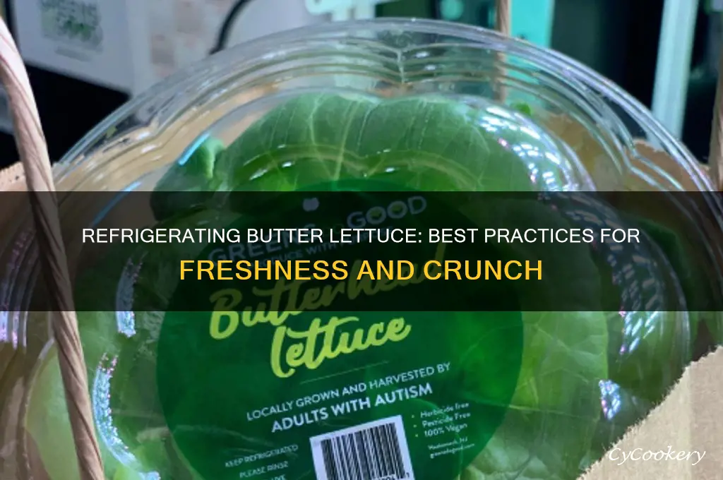 can you refrigerate butter lettuce