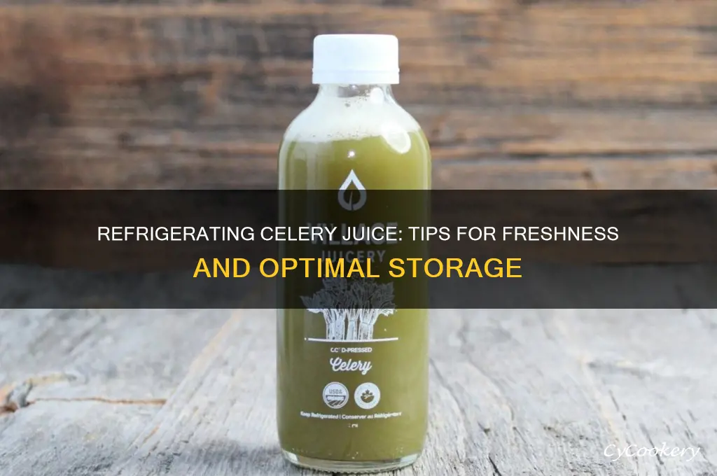 can you refrigerate celery juice