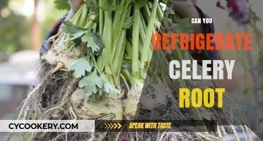 Refrigerating Celery Root: Best Practices for Freshness and Storage
