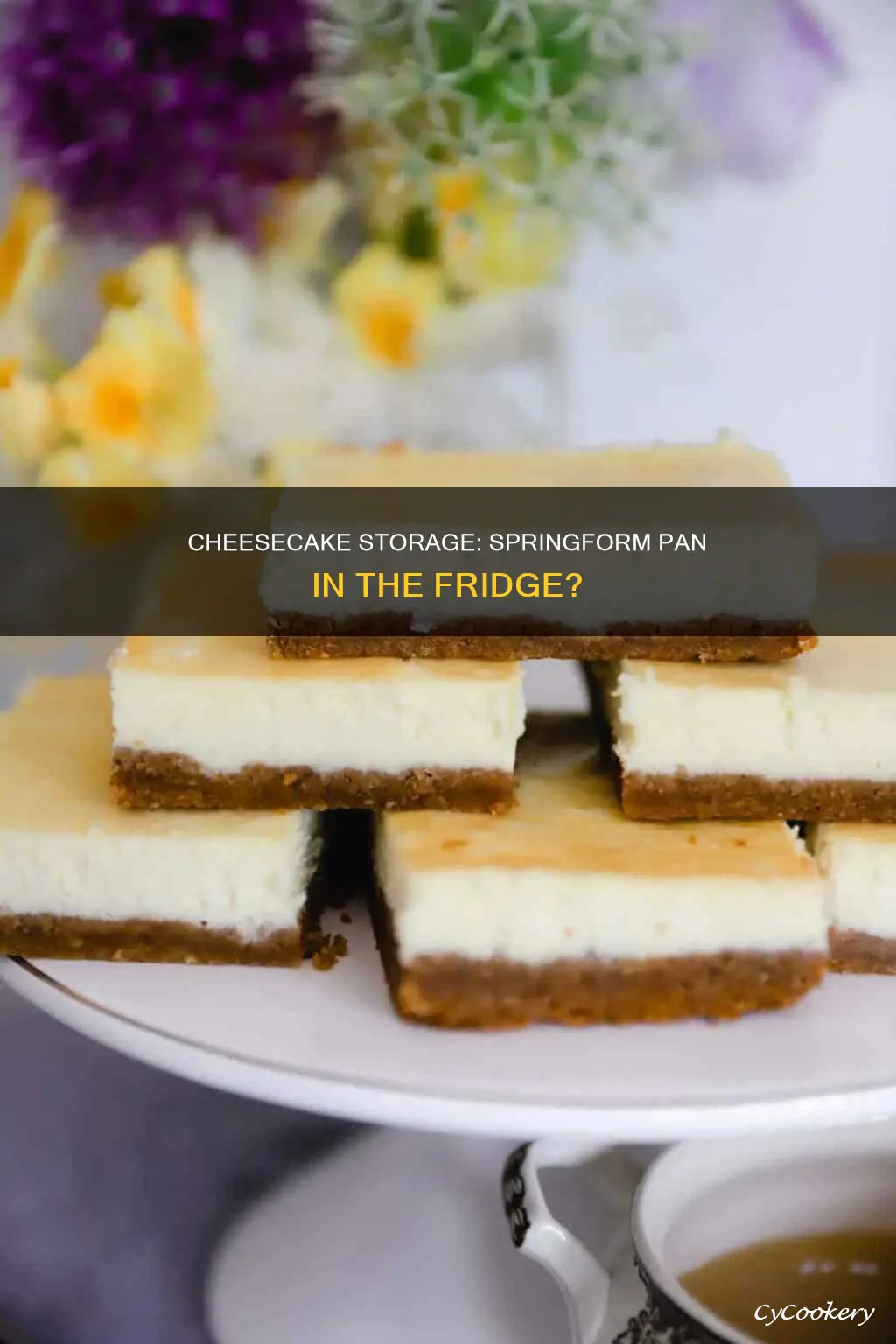 can you refrigerate cheesecake in springform pan