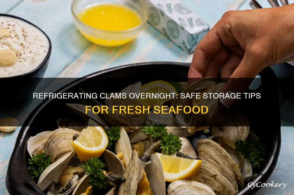 can you refrigerate clams overnight