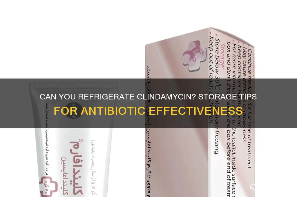 can you refrigerate clindamycin