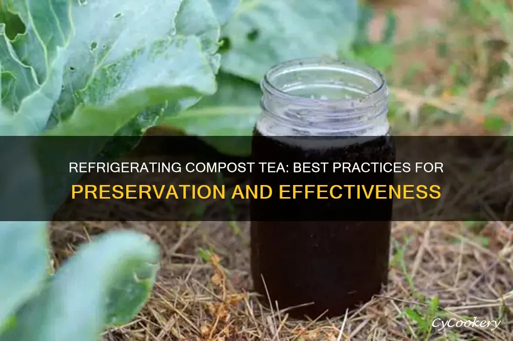 can you refrigerate compost tea