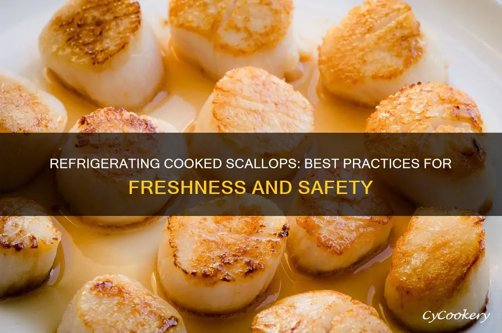 can you refrigerate cooked scallops