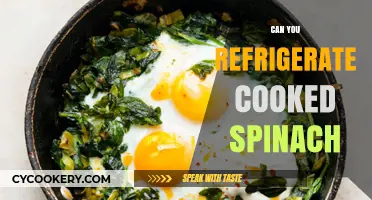 Refrigerating Cooked Spinach: Tips for Safe Storage and Freshness