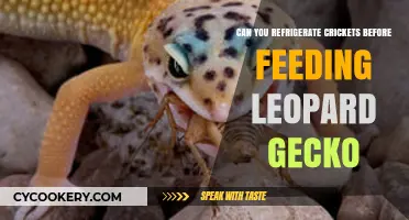 Refrigerating Crickets for Leopard Geckos: Safe or Risky Practice?