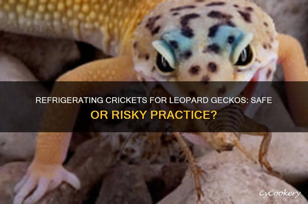 can you refrigerate crickets before feeding leopard gecko