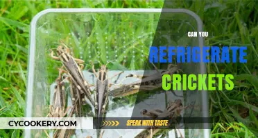 Refrigerating Crickets: A Guide to Proper Storage and Care